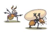La cicala e la formica.jpeg